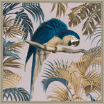Macaw