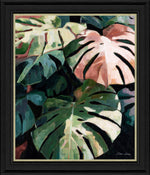 Monstera