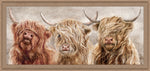 Kindred Cows