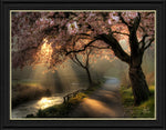 Golden Hour Blossom