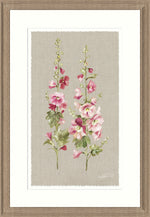 Hollyhocks