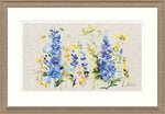 Delphinium Fields