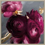 Plum Ranunculus