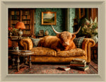 Lounging Highland Cow