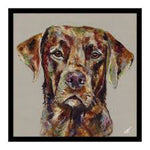 Red Fox Lab Large