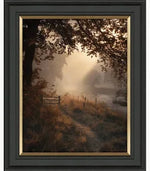 Falling Light I