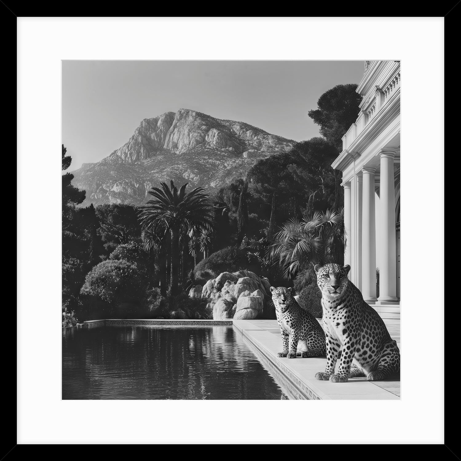 Luxury Leopards