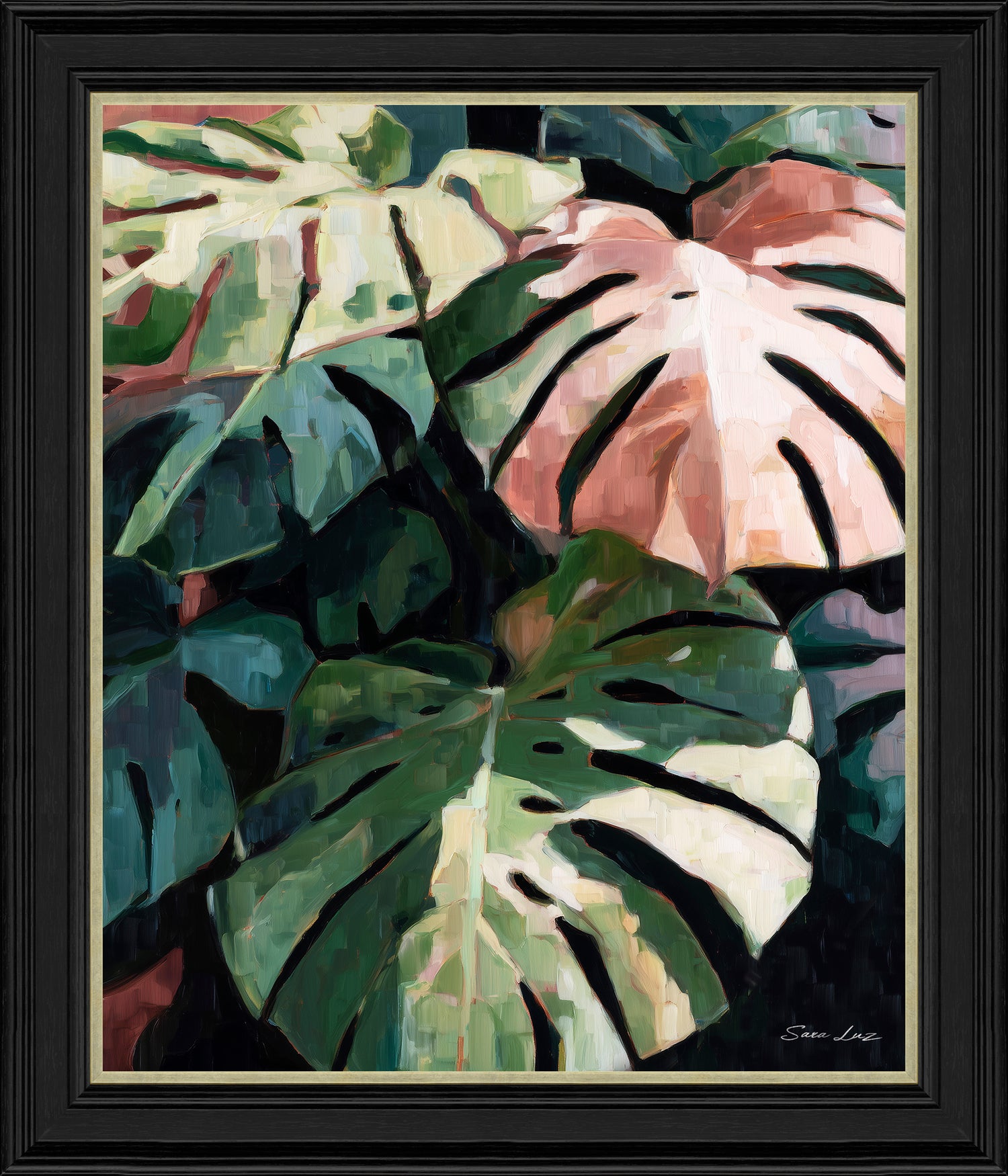 Monstera
