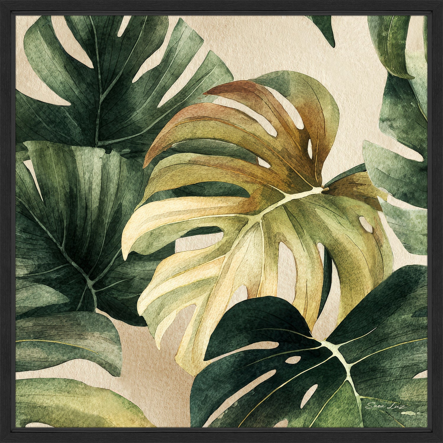 Tropical Palm II