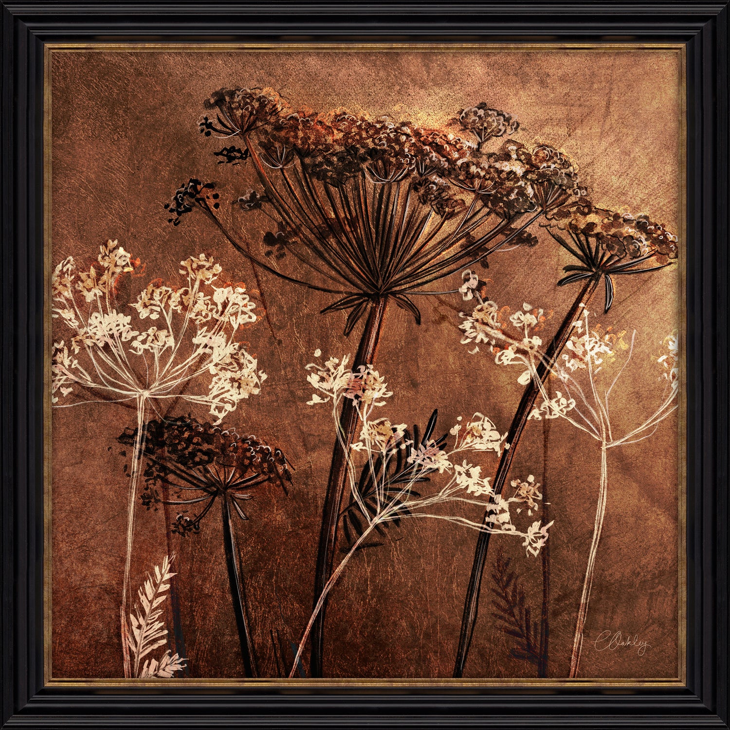 Cow Parsley