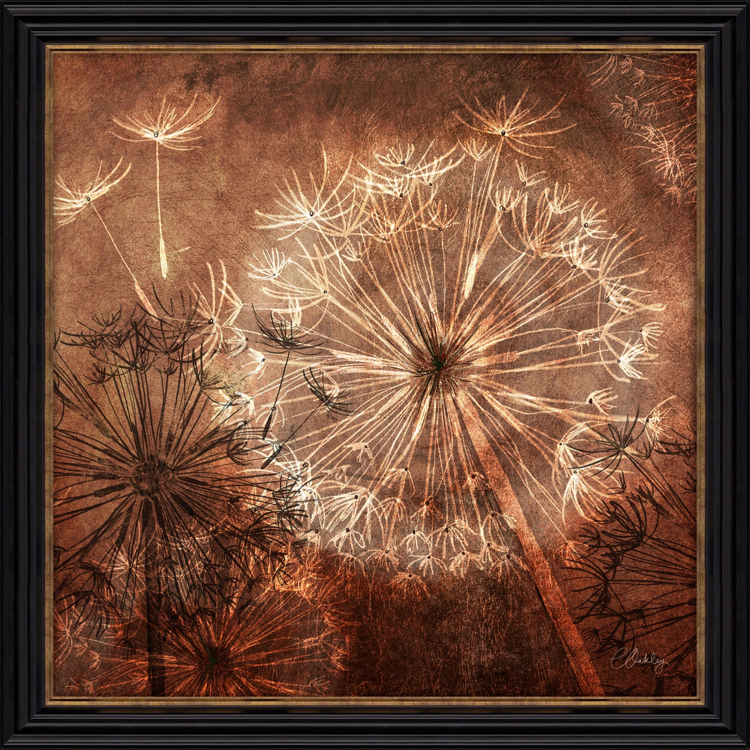 Dandelion