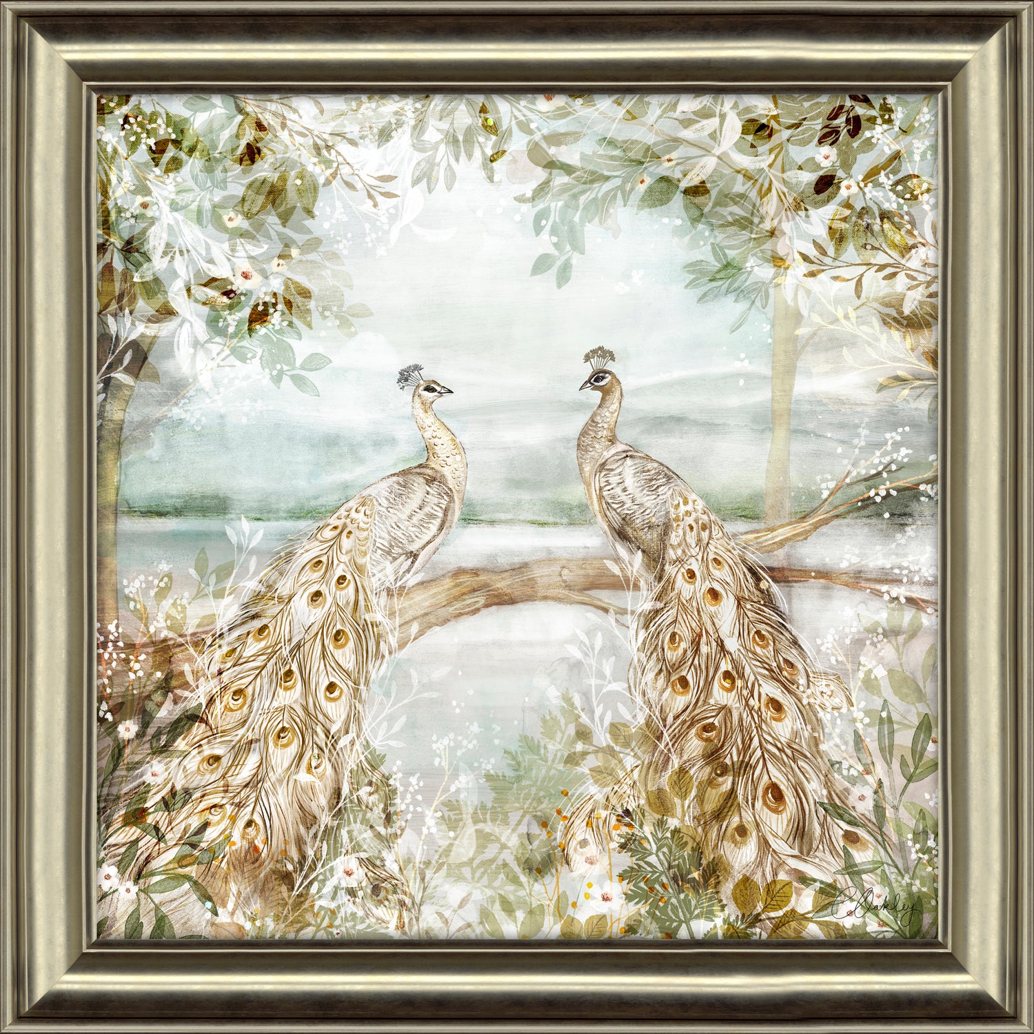 Peacocks