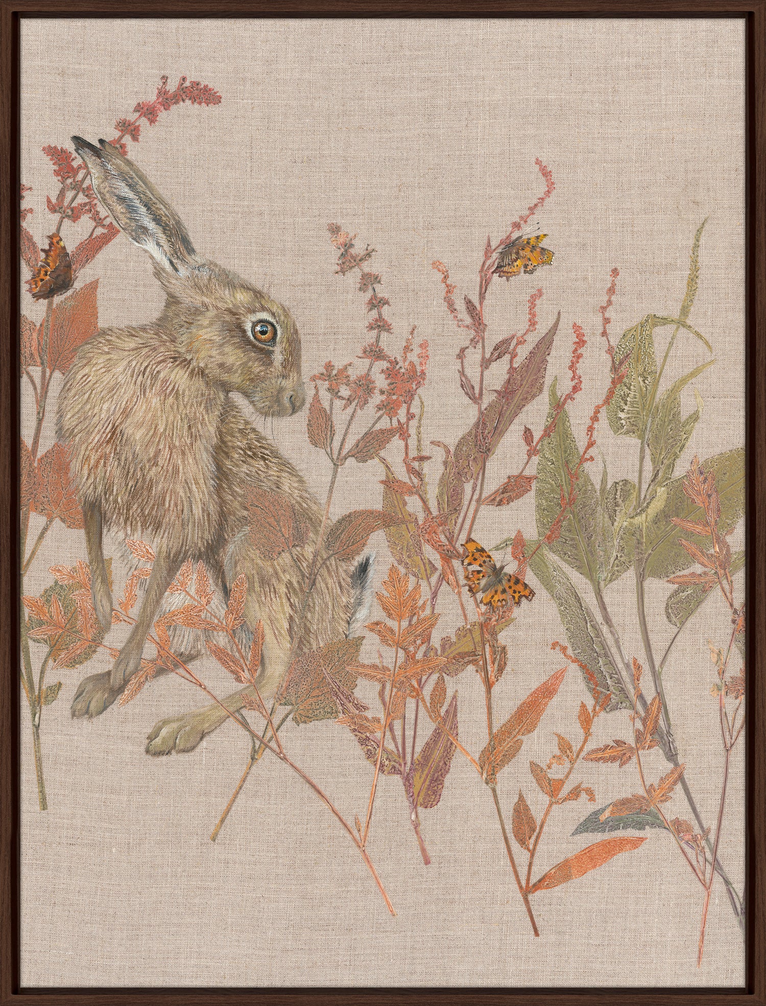 Before Winters Sleep Hare