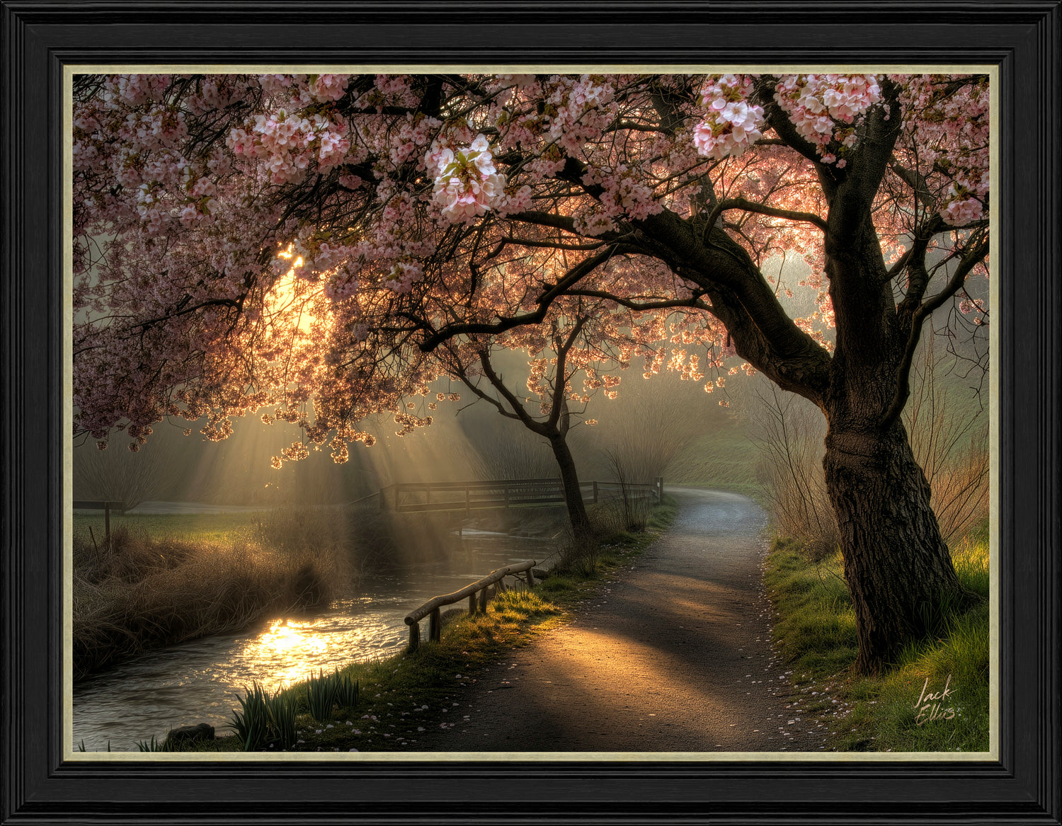 Golden Hour Blossom
