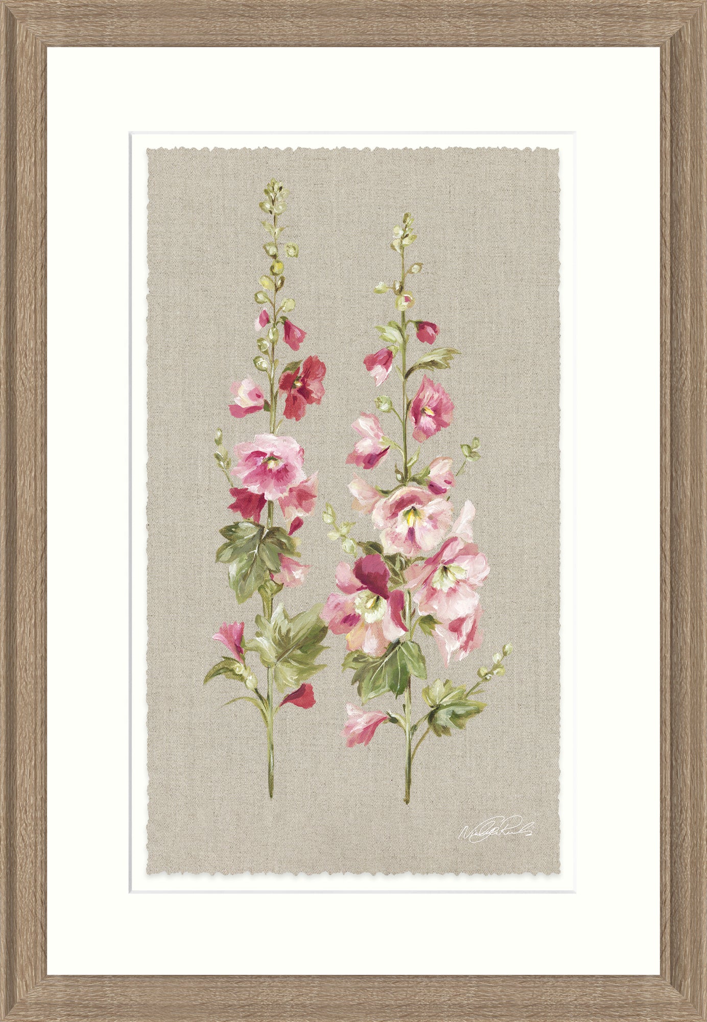 Hollyhocks