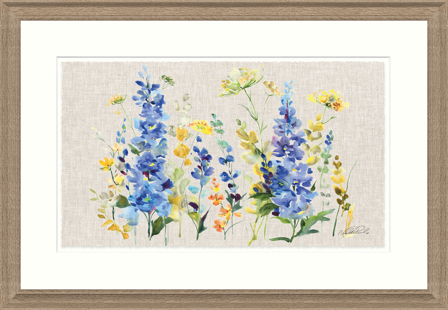 Delphinium Fields