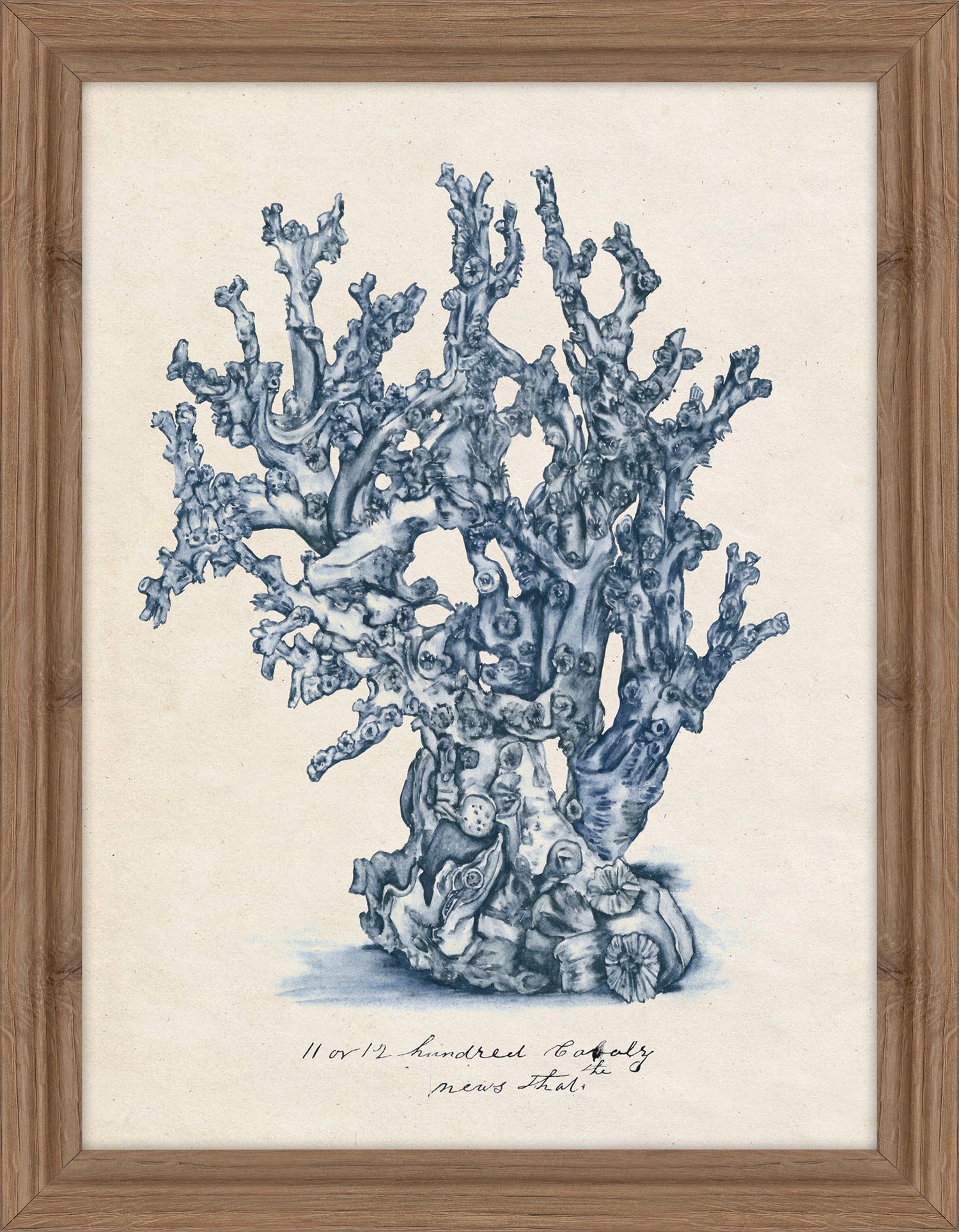 Sea Coral Study IV