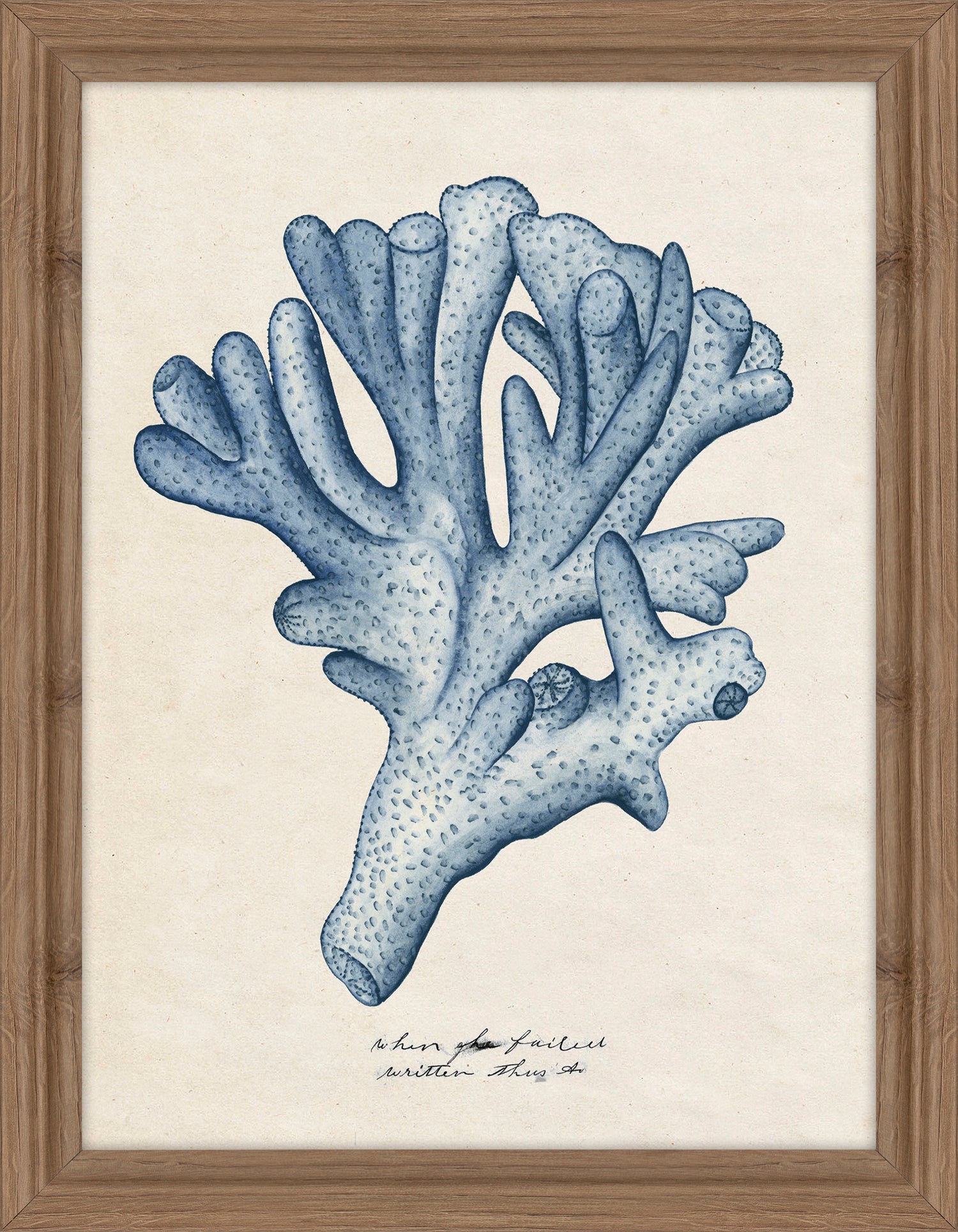 Sea Coral Study I