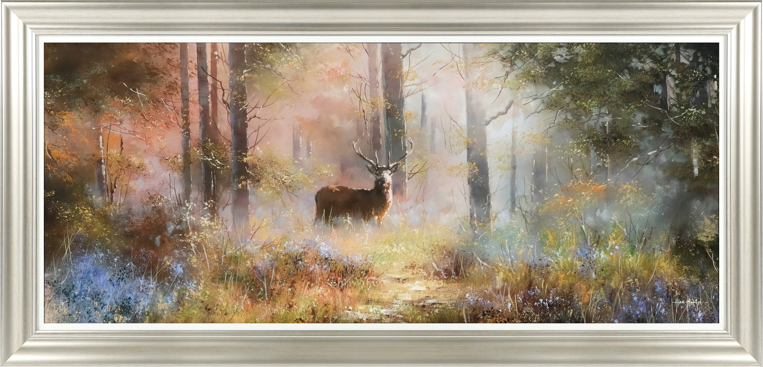 Forest Spirit
