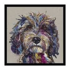 Cockapoo Large