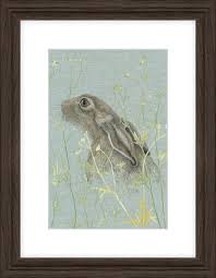 In The Meadows Mist II