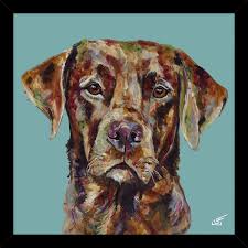 Red Fox Lab Small