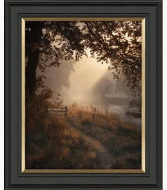 Falling Light I