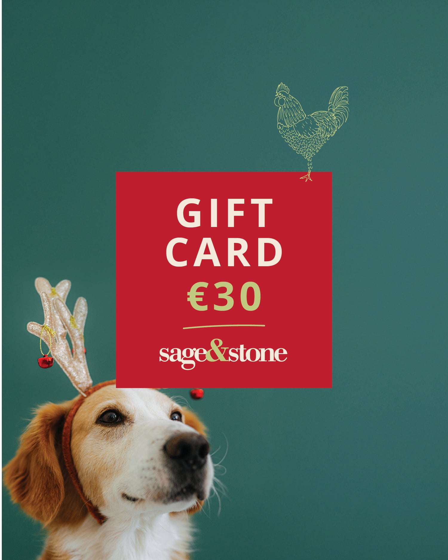 €30 Christmas Gift Card
